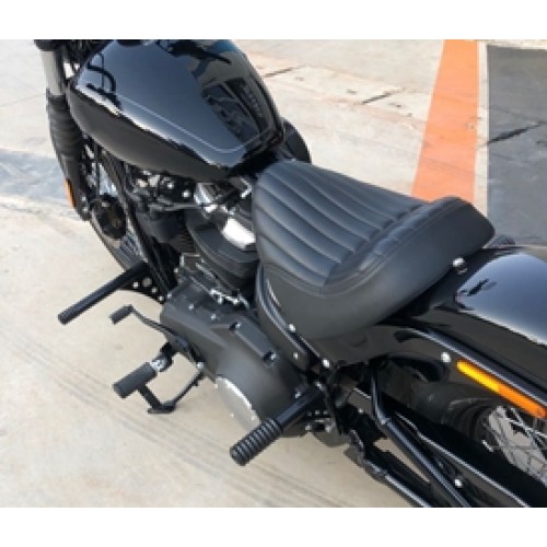 M8 Softail Engine Guard